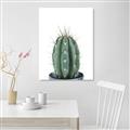 Picture of Cactus     _GroupedProduct_Rectangle_Portrait_Unframed_Print_Only_