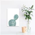 Picture of Bunny Cactus _GroupedProduct_Rectangle_Portrait_Unframed_Print_Only_