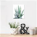 Picture of Zebra Succulent  _GroupedProduct_Rectangle_Portrait_Unframed_Print_Only_
