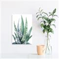 Picture of Zebra Succulent  _GroupedProduct_Rectangle_Portrait_Unframed_Print_Only_