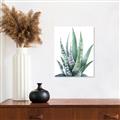 Picture of Zebra Succulent  _GroupedProduct_Rectangle_Portrait_Unframed_Print_Only_