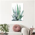 Picture of Zebra Succulent  _GroupedProduct_Rectangle_Portrait_Unframed_Print_Only_