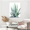 Picture of Zebra Succulent  _GroupedProduct_Rectangle_Portrait_Unframed_Print_Only_