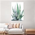 Picture of Zebra Succulent  _GroupedProduct_Rectangle_Portrait_Unframed_Print_Only_