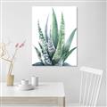 Picture of Zebra Succulent  _GroupedProduct_Rectangle_Portrait_Unframed_Print_Only_