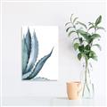 Picture of Succulent  _GroupedProduct_Rectangle_Portrait_Unframed_Print_Only_