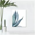 Picture of Succulent  _GroupedProduct_Rectangle_Portrait_Unframed_Print_Only_