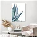 Picture of Succulent  _GroupedProduct_Rectangle_Portrait_Unframed_Print_Only_
