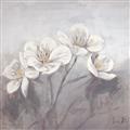Picture of White Magnolias _GroupedProduct_Square_Unframed_Print_Only_