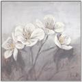 Picture of White Magnolias _GroupedProduct_Square_Canvas_Framed_