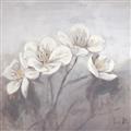 Picture of White Magnolias _GroupedProduct_Square_Unframed_Print_Only_