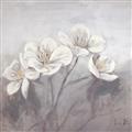 Picture of White Magnolias _GroupedProduct_Square_Unframed_Print_Only_
