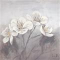Picture of White Magnolias _GroupedProduct_Square_Unframed_Print_Only_