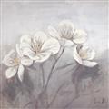 Picture of White Magnolias _GroupedProduct_Square_Unframed_Print_Only_