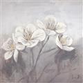 Picture of White Magnolias _GroupedProduct_Square_Unframed_Print_Only_
