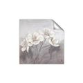 Picture of White Magnolias _GroupedProduct_Square_Unframed_Print_Only_