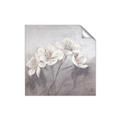 Picture of White Magnolias _GroupedProduct_Square_Unframed_Print_Only_