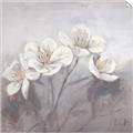 Picture of White Magnolias _GroupedProduct_Square_Unframed_Print_Only_