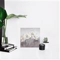 Picture of White Magnolias _GroupedProduct_Square_Canvas_