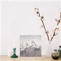 Picture of White Magnolias _GroupedProduct_Square_Canvas_