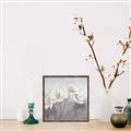Picture of White Magnolias _GroupedProduct_Square_Canvas_Framed_