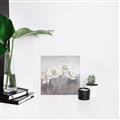 Picture of White Magnolias _GroupedProduct_Square_Unframed_Print_Only_