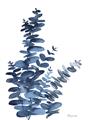 Picture of Navy Blue Eucalyptus I  _GroupedProduct_Rectangle_Portrait_Unframed_Print_Only_