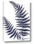 Picture of Fern on white  II