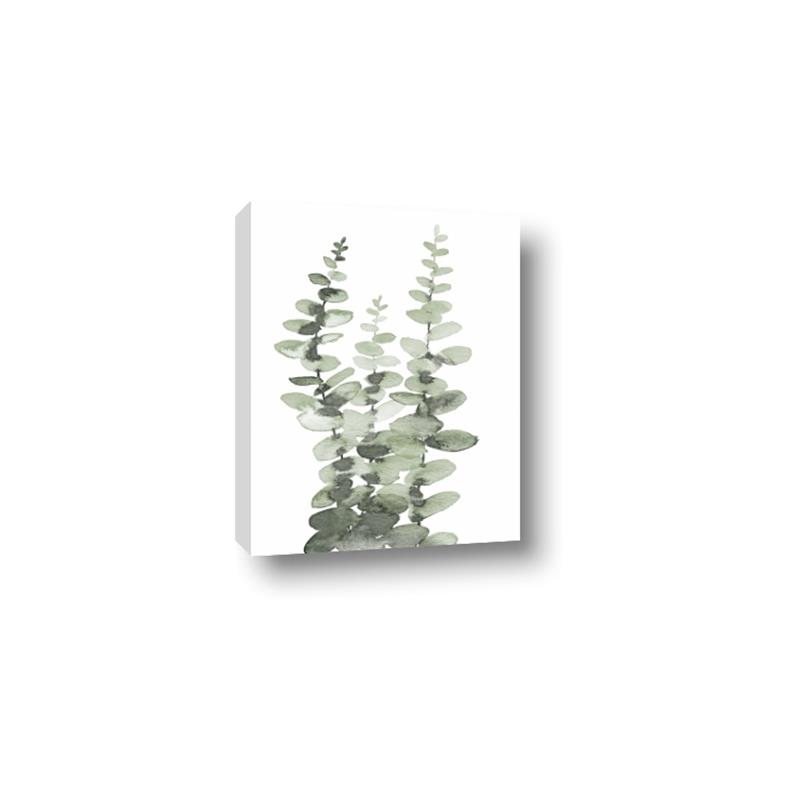 Picture of Eucalyptus Growing I _GroupedProduct_Rectangle_Portrait_Canvas_