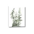 Picture of Eucalyptus Growing I _GroupedProduct_Rectangle_Portrait_Canvas_