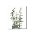 Picture of Eucalyptus Growing I _GroupedProduct_Rectangle_Portrait_Canvas_