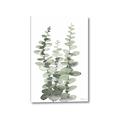 Picture of Eucalyptus Growing I _GroupedProduct_Rectangle_Portrait_Canvas_