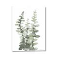 Picture of Eucalyptus Growing I _GroupedProduct_Rectangle_Portrait_Canvas_