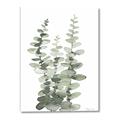 Picture of Eucalyptus Growing I _GroupedProduct_Rectangle_Portrait_Canvas_