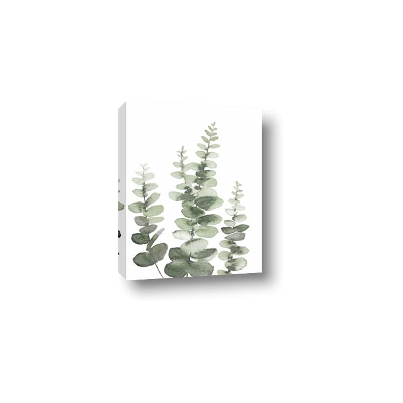 Picture of Eucalyptus Growing II  _GroupedProduct_Rectangle_Portrait_Canvas_