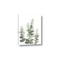 Picture of Eucalyptus Growing II  _GroupedProduct_Rectangle_Portrait_Canvas_