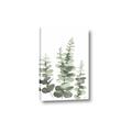 Picture of Eucalyptus Growing II  _GroupedProduct_Rectangle_Portrait_Canvas_