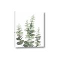 Picture of Eucalyptus Growing II  _GroupedProduct_Rectangle_Portrait_Canvas_