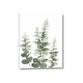 Picture of Eucalyptus Growing II  _GroupedProduct_Rectangle_Portrait_Canvas_