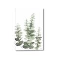 Picture of Eucalyptus Growing II  _GroupedProduct_Rectangle_Portrait_Canvas_