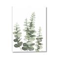 Picture of Eucalyptus Growing II  _GroupedProduct_Rectangle_Portrait_Canvas_