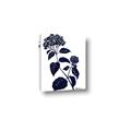 Picture of Blue Flower on White I _GroupedProduct_Rectangle_Portrait_Canvas_