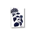Picture of Blue Flower on White I _GroupedProduct_Rectangle_Portrait_Canvas_