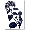 Picture of Blue Flower on White I _GroupedProduct_Rectangle_Portrait_Canvas_