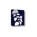 Picture of Flower on Blue II  _GroupedProduct_Rectangle_Portrait_Canvas_