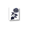 Picture of Blue Flower on White II  _GroupedProduct_Rectangle_Portrait_Canvas_