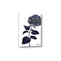 Picture of Blue Flower on White II  _GroupedProduct_Rectangle_Portrait_Canvas_