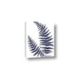 Picture of Fern on white  II _GroupedProduct_Rectangle_Portrait_Canvas_