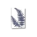 Picture of Fern on white  II _GroupedProduct_Rectangle_Portrait_Canvas_