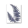 Picture of Fern on white  II _GroupedProduct_Rectangle_Portrait_Canvas_